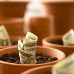 El Negocio Virtual Que Crece Dolares Como en Maceta